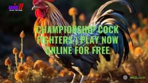 Championship Cock Fighters