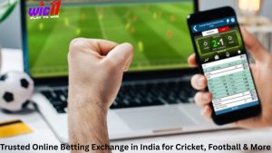 Online Betting Exchange